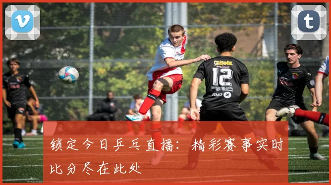 锁定今日乒乓直播:精彩赛事实时比分尽在此处